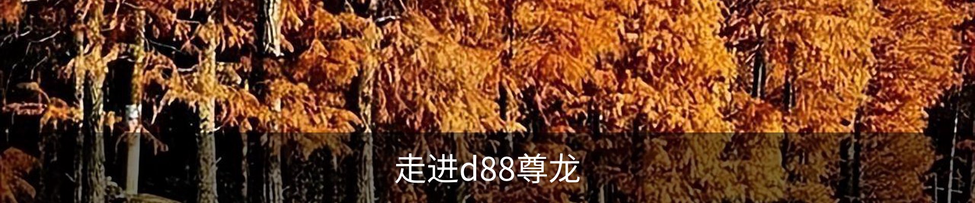 走进d88尊龙